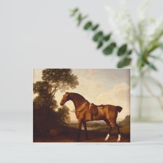 George Stubbs - Een Zaddled Bay Hunter Briefkaart (Staand voorkant)