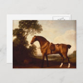 George Stubbs - Een Zaddled Bay Hunter Briefkaart (Voorkant / Achterkant)