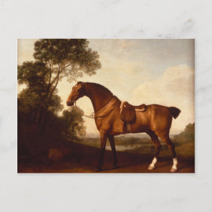 George Stubbs - Een Zaddled Bay Hunter Briefkaart