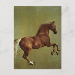 George Stubbs   Klokje, 1762 Briefkaart
