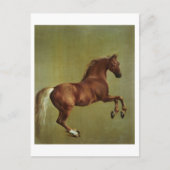 George Stubbs | Klokje, 1762 Briefkaart (Voorkant)