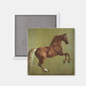 George Stubbs | Klokje, 1762 Magneet (Voorkant / Achterkant)