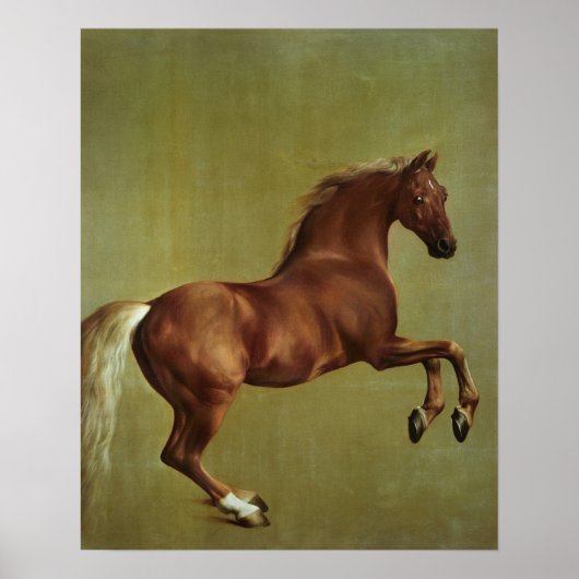 George Stubbs | Klokje, 1762 Poster (Voorkant)