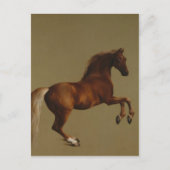 George Stubbs - Klokje Briefkaart (Voorkant)