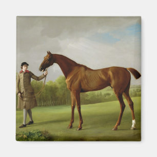 George Stubbs Luster, gehouden door een Groom, c Magneet