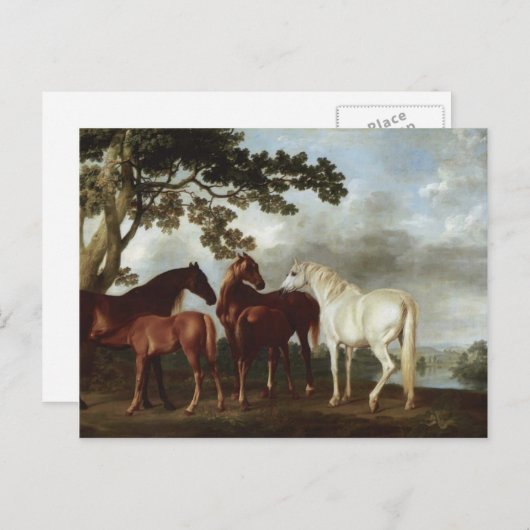 George Stubbs-Mares en Foals in een rivierlandscha Briefkaart (Voorkant / Achterkant)
