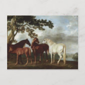 George Stubbs-Mares en Foals in een rivierlandscha Briefkaart (Voorkant)