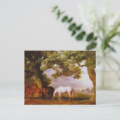 George Stubbs- Mares & Foals in een bebost landsch Briefkaart (Staand voorkant)