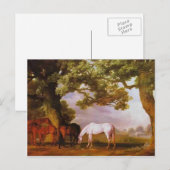 George Stubbs- Mares & Foals in een bebost landsch Briefkaart (Voorkant / Achterkant)