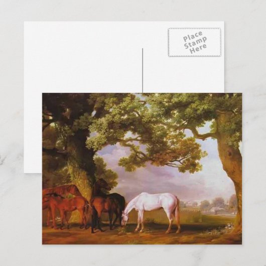 George Stubbs- Mares & Foals in een bebost landsch Briefkaart (Voorkant / Achterkant)