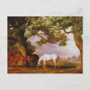 George Stubbs- Mares & Foals in een bebost landsch Briefkaart