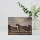 George Stubbs-Mares, veulens voor een dreigend sto Briefkaart (Staand voorkant)