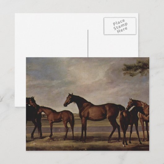 George Stubbs-Mares, veulens voor een dreigend sto Briefkaart (Voorkant / Achterkant)