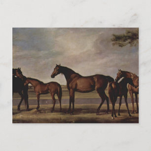George Stubbs-Mares, veulens voor een dreigend sto Briefkaart