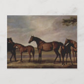 George Stubbs-Mares, veulens voor een dreigend sto Briefkaart (Voorkant)