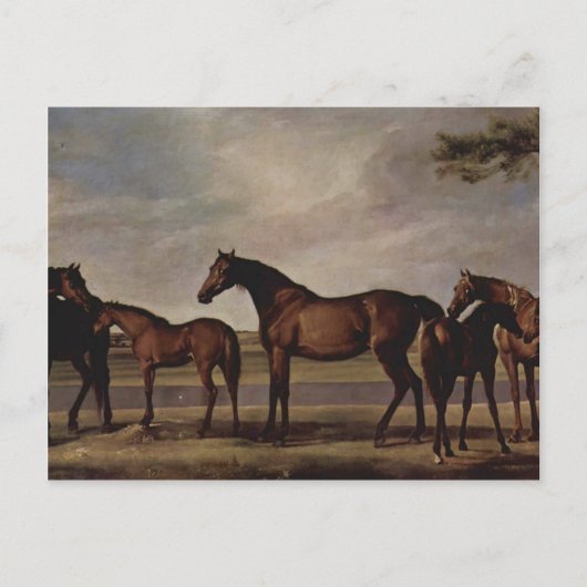 George Stubbs-Mares, veulens voor een dreigend sto Briefkaart (Voorkant)