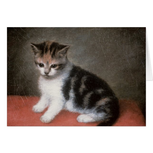 George Stubbs | Miss Ann White's Kitten, 1790 (Voorkant Horizontaal)
