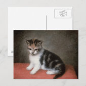 George Stubbs | Miss Ann White's Kitten, 1790 Briefkaart (Voorkant / Achterkant)