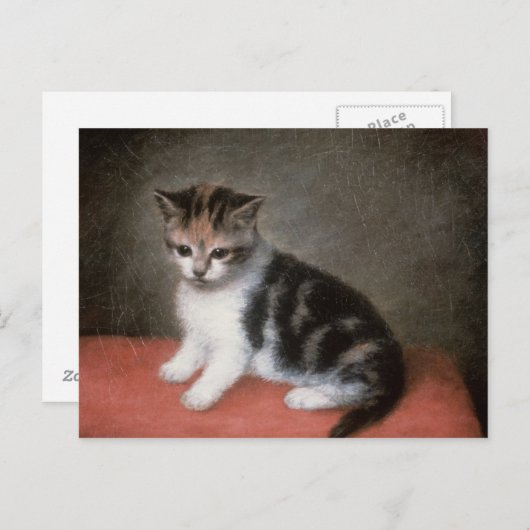 George Stubbs | Miss Ann White's Kitten, 1790 Briefkaart (Voorkant / Achterkant)