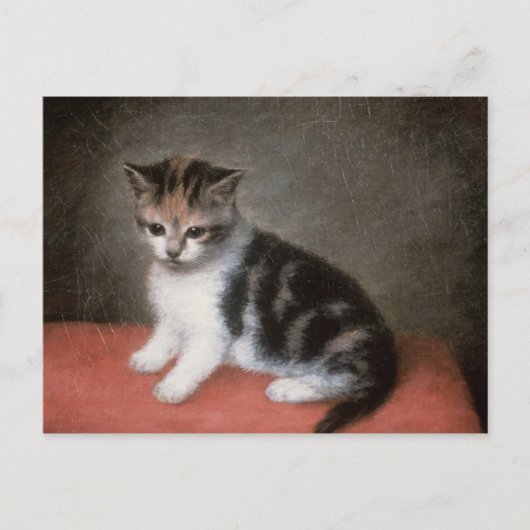 George Stubbs | Miss Ann White's Kitten, 1790 Briefkaart (Voorkant)