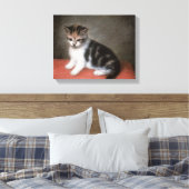 George Stubbs | Miss Ann White's Kitten, 1790 Canvas Afdruk (Insitu (Slaapkamer))