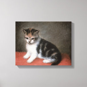 George Stubbs Miss Ann White's Kitten, 1790 Canvas Afdruk