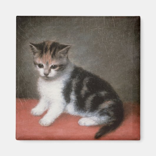 George Stubbs | Miss Ann White's Kitten, 1790 Magneet (Voorkant)