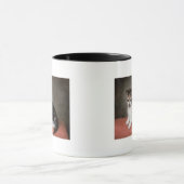 George Stubbs | Miss Ann White's Kitten, 1790 Mok (Midden)