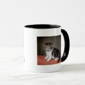 George Stubbs | Miss Ann White's Kitten, 1790 Mok (Voorkant rechts)