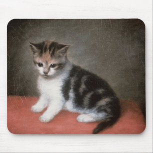 George Stubbs   Miss Ann White's Kitten, 1790 Muismat