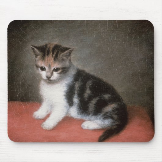 George Stubbs | Miss Ann White's Kitten, 1790 Muismat (Voorkant)