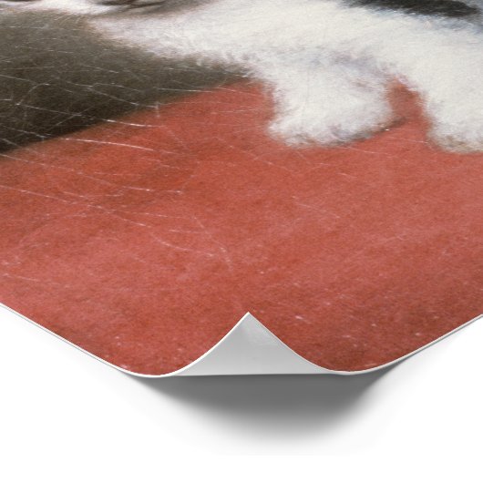 George Stubbs | Miss Ann White's Kitten, 1790 Poster (Hoek)