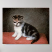 George Stubbs | Miss Ann White's Kitten, 1790 Poster (Voorkant)