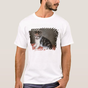George Stubbs   Miss Ann White's Kitten, 1790 T-shirt