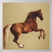 George Stubbs Paardenportret Whistlejacket Art Poster (Voorkant)
