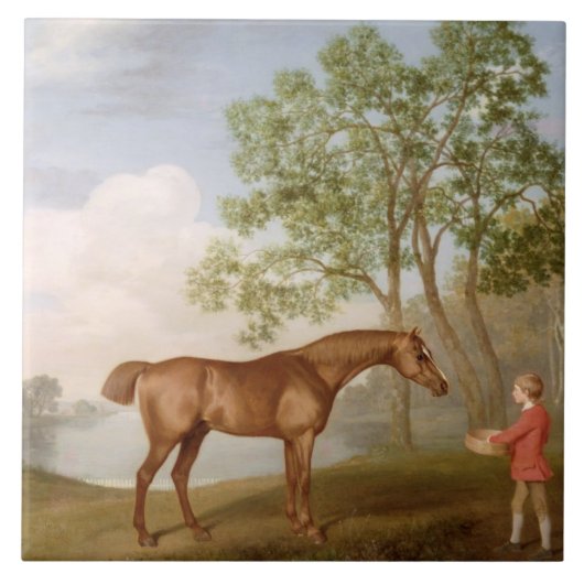 George Stubbs | Pompoen met een Stable-Lad, 1774 ( Tegeltje (Voorkant)