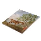 George Stubbs | Pompoen met een Stable-Lad, 1774 ( Tegeltje (Zijkant)