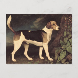 George Stubbs Ringwood, a Brocklesby Foxhound, 1 Briefkaart