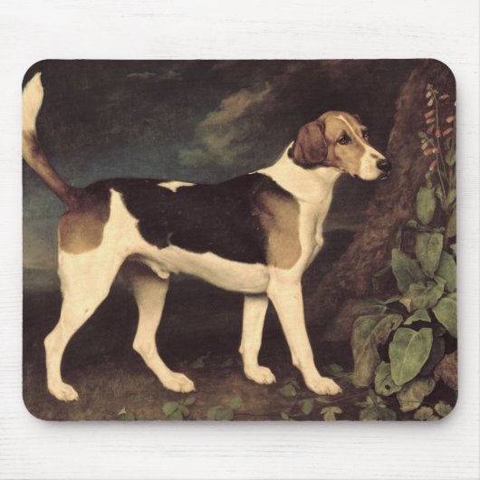 George Stubbs | Ringwood, a Brocklesby Foxhound, 1 Muismat (Voorkant)