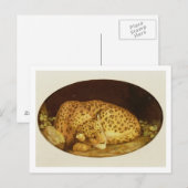 George Stubbs | Sleeping Leopard, 1777 (amel on Briefkaart (Voorkant / Achterkant)