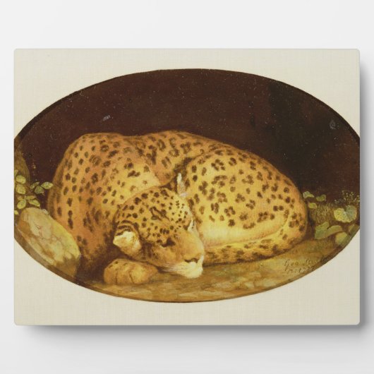 George Stubbs | Sleeping Leopard, 1777 (amel on Fotoplaat (Voorkant)