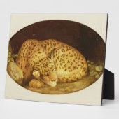 George Stubbs | Sleeping Leopard, 1777 (amel on Fotoplaat (Zijkant)