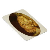 George Stubbs | Sleeping Leopard, 1777 (amel on Magneet (Rechterzijde)