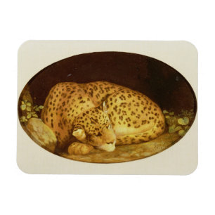George Stubbs   Sleeping Leopard, 1777 (amel on Magneet