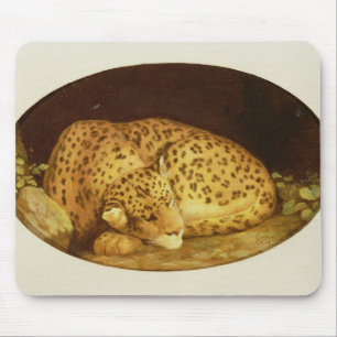 George Stubbs   Sleeping Leopard, 1777 (amel on  Muismat
