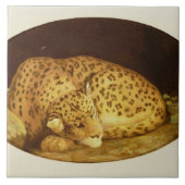 George Stubbs | Sleeping Leopard, 1777 (amel on Tegeltje (Voorkant)