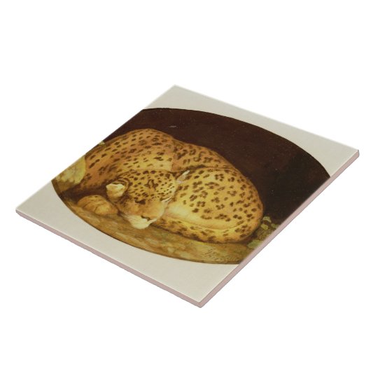 George Stubbs | Sleeping Leopard, 1777 (amel on Tegeltje (Zijkant)