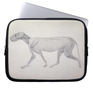 George Stubbs   Tijger: Lateraal Uitzicht, gedeelt Laptop Sleeve