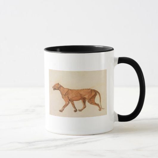 George Stubbs | tijger, lateraal Uitzicht, ontdaan Mok (Rechts)