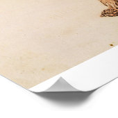 George Stubbs | tijger, lateraal Uitzicht, ontdaan Poster (Hoek)